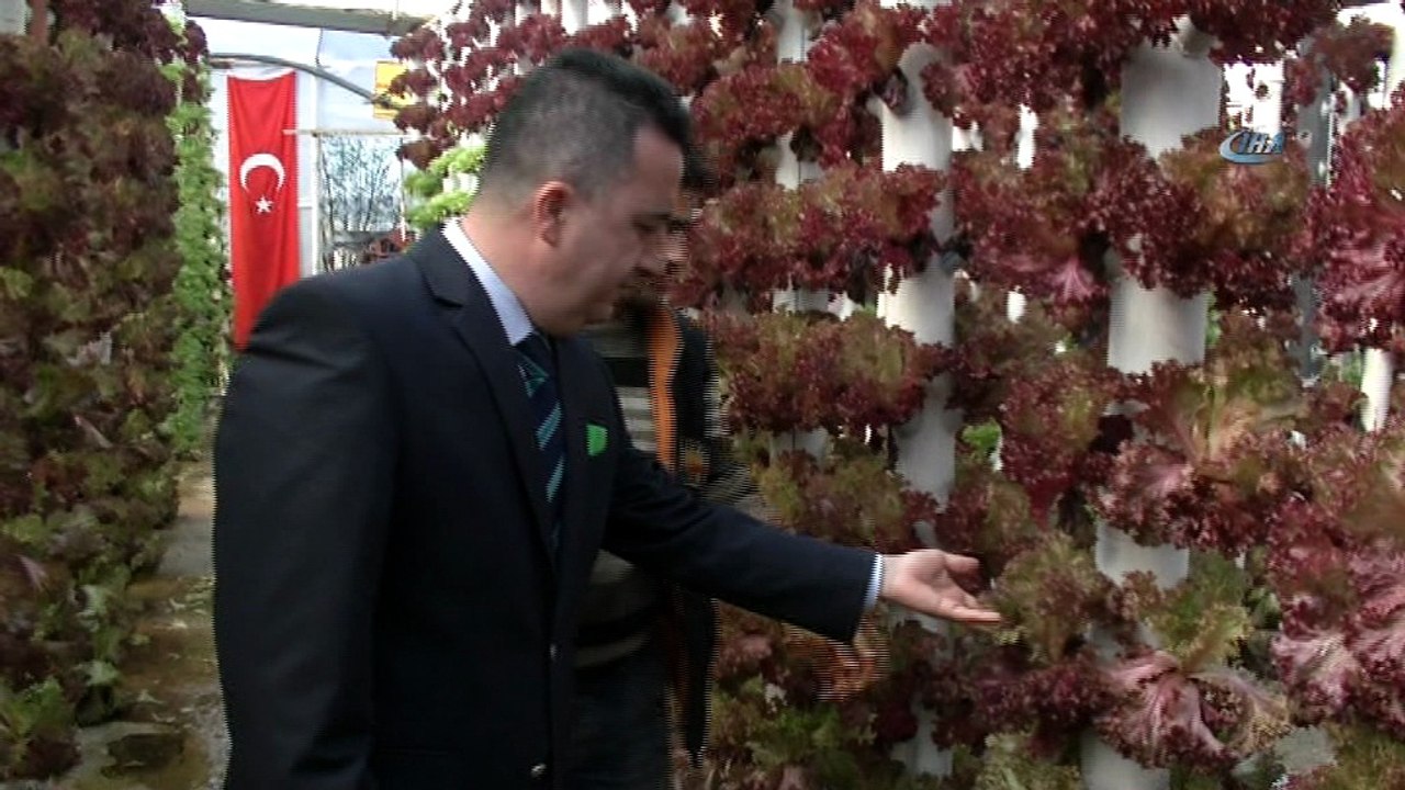 Dikey topraksız tarım ile servetine servet katıyor