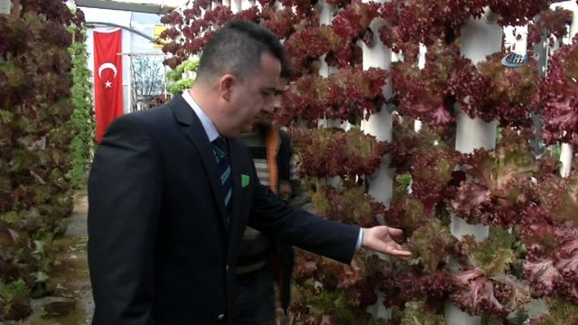 Dikey topraksız tarım ile servetine servet katıyor