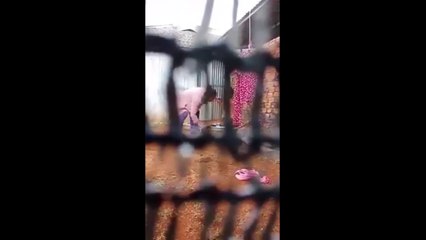 Bảo mẫu đánh dã man vào bộ phận sinh dục của trẻ nhỏ