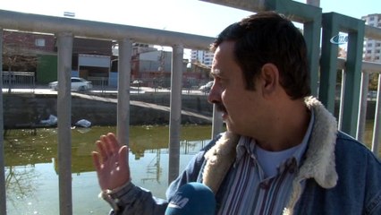 Adana'nın 'Venedik'i mikrop saçıyor