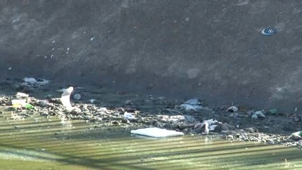 Adana'nın "Venedik"İ Mikrop Saçıyor