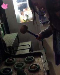 설리 두더지잡기 게임 Sulli game