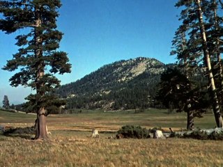 Bonanza BLOOD ON THE LAND