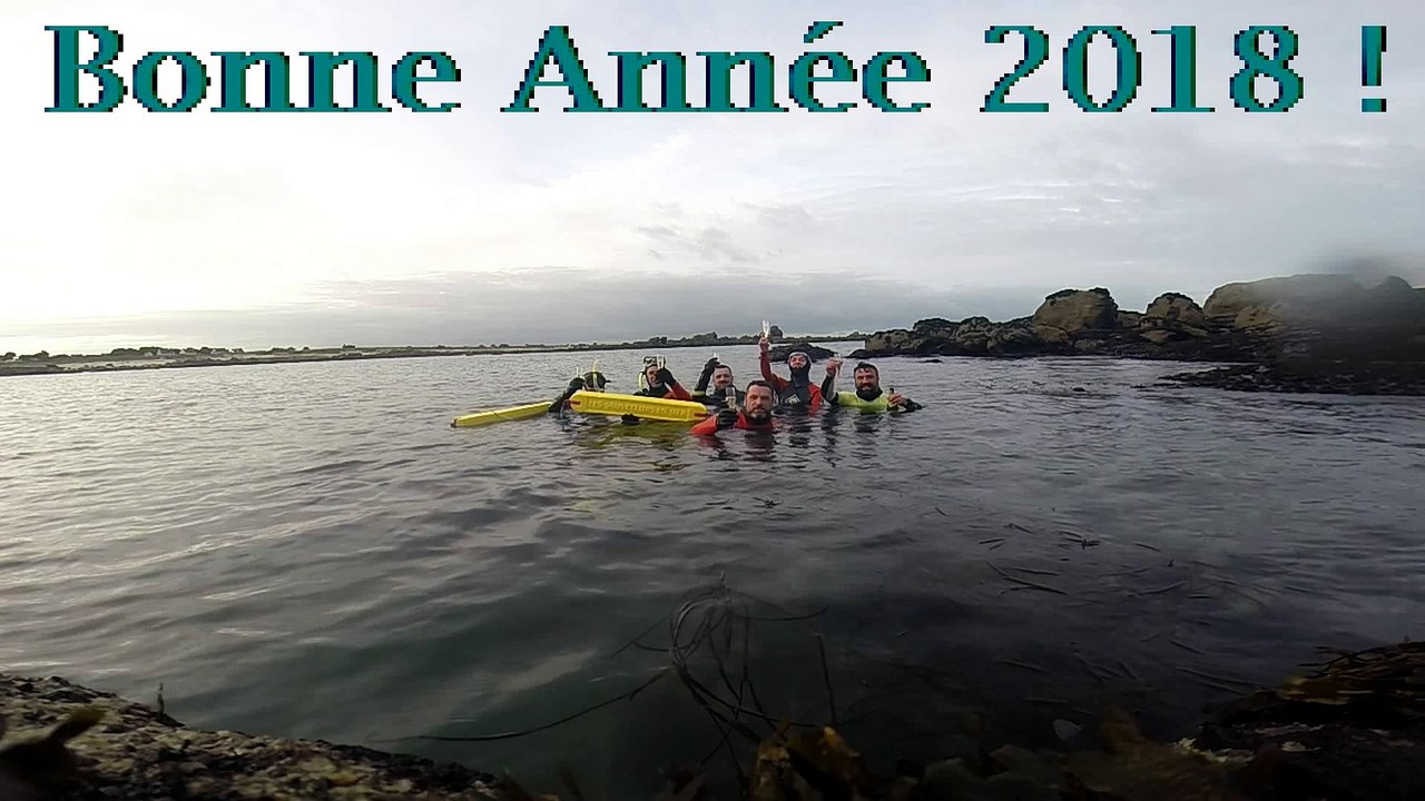 bonne année