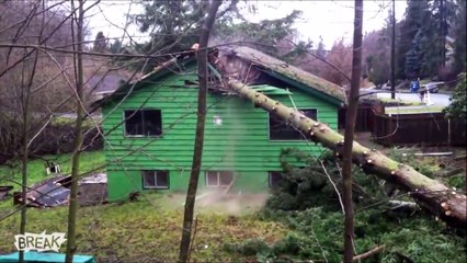Quand deux bûcherons demeurés pulvérisent le toit d'une maison
