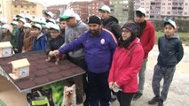Gaziosmapaşa Belediyesi'nden Sokak Hayvanları İçin 100 Sıcak Yuva
