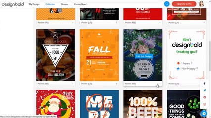 Any Additional Software Needed to Use DesignBold