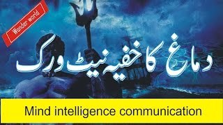 Mind intelligence communication - دماغ کا خفیہ نیٹ ورک - M Imran adeeb
