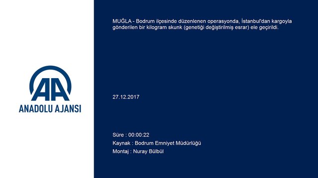 Kargoyla uyuşturucu sevkiyatı - MUĞLA