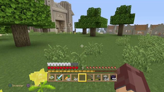 DonAleszandro Minecraft Survival «-Tempel Bau-» (566)