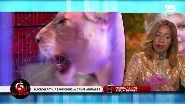 La GG du jour : Brigitte Bardot dénonce l'abandon de la cause animale ! - 27/12