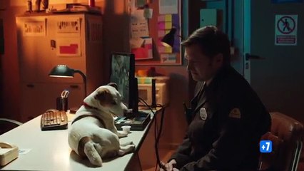 Téaser tráiler serie "Sabuesos", protagonizada por Salva Reina, María Esteve y Thaïs Blume