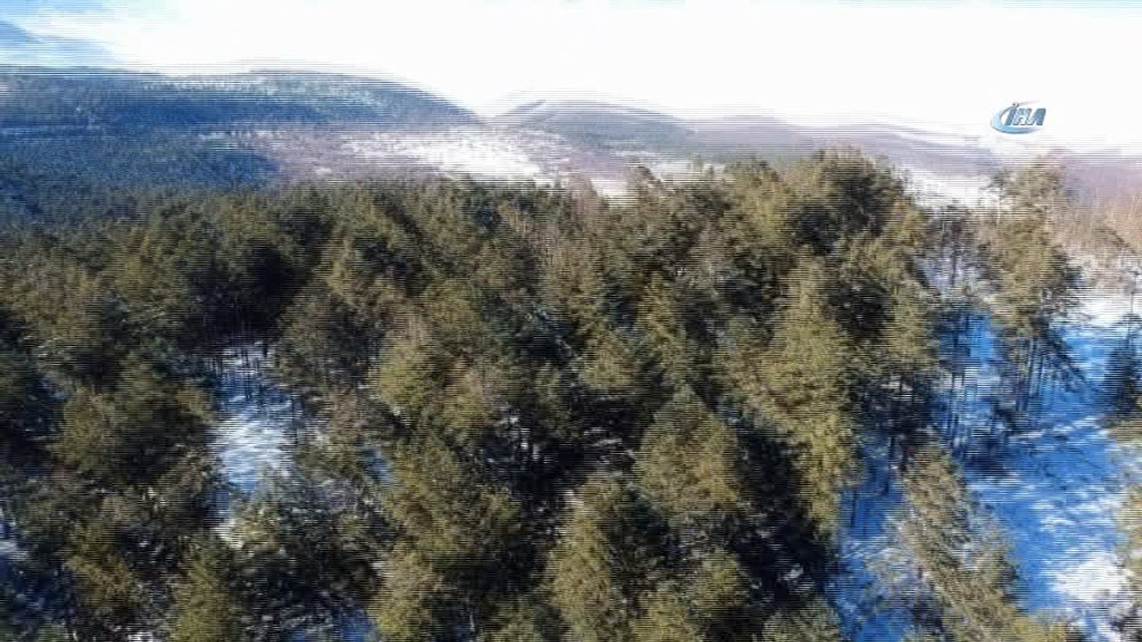 Doğa harikası Abant ve Gölcük’ün havadan görüntüsü büyüledi