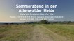 Altenwalder Heide, Cuxhaven - Stellarium (DE)