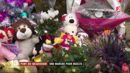 Affaire Maëlys : une marche quatre mois après la disparition de la petite fille
