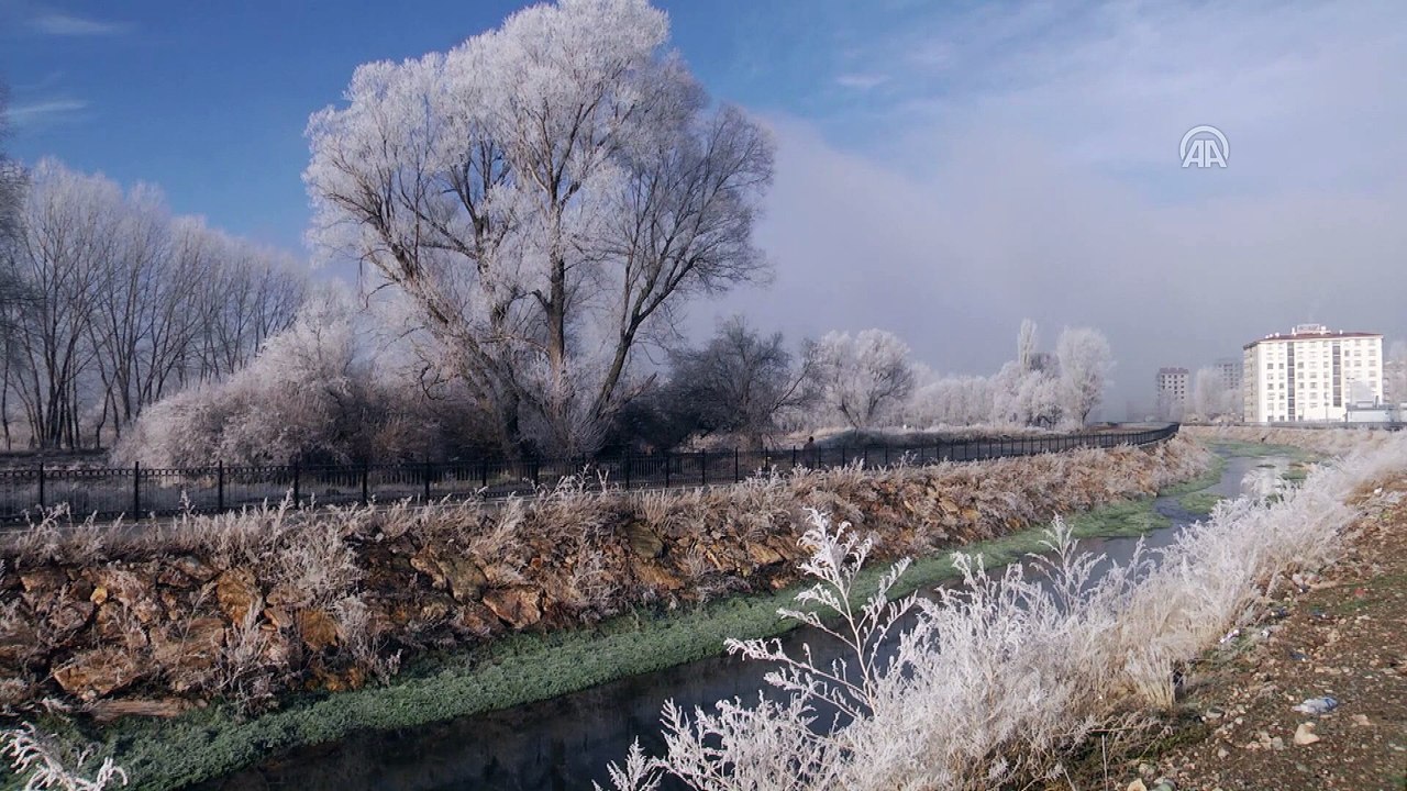 Sivas'ta soğuk hava