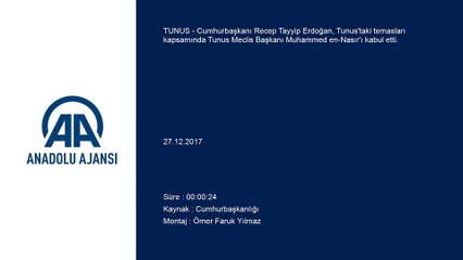 Cumhurbaşkanı Erdoğan, Tunus Meclis Başkanı Muhammed en-Nasır'ı kabul etti - TUNUS