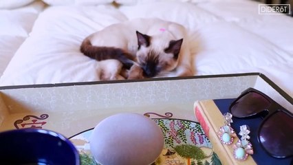 Diderot Google Home Mini | سألت الكوكل هوم ميني من هو محمد بن سلمان؟