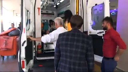 Bahçe Duvarını Örerken Akrep Soktu