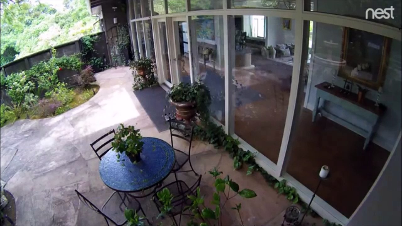 Canard vs Baie vitrée