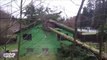 2 bucherons débiles détruisent une maison en coupant un arbre