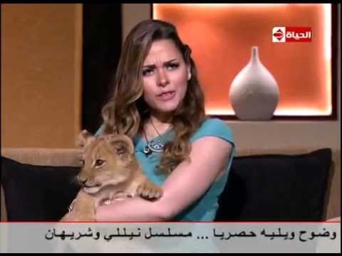 بوضوح - مدربة الاسود انوسة كوتة : هذه اسوأ حادث لي مع الاسود .. تعرف على التفاصيل