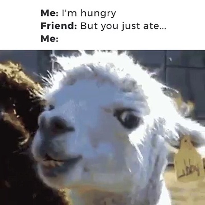 frend am hungry
