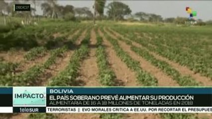 Bolivia recupera producción alimentaria tras fuerte sequía