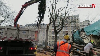 Un arbre tombe sur un manège square des Batignolles