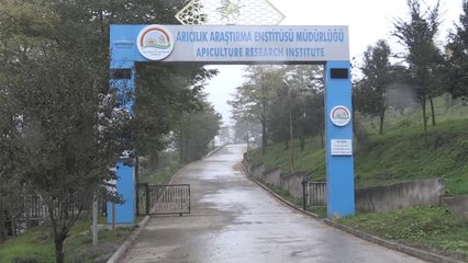 Arım Balım Peteğim" Projesi