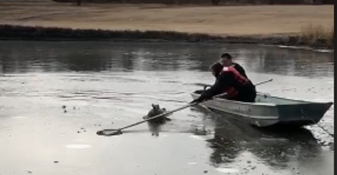 Kansas Police Officer, Firefighter Rescue Duck Trapped in Ice