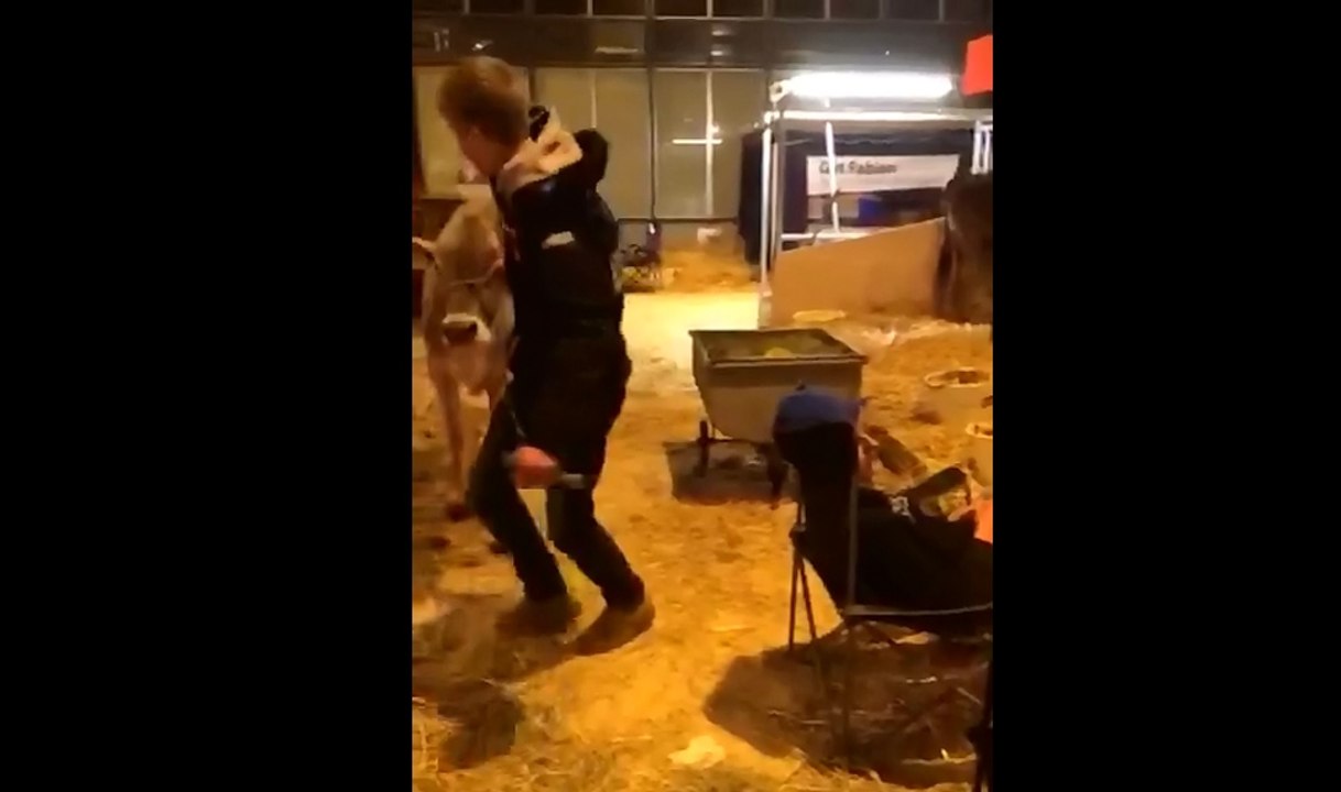 Sono pesado + amigos sacanas