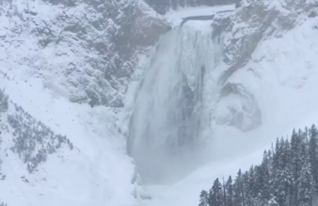 Snow Falls Over Yellowstone's Grand Canyon and Lower Falls