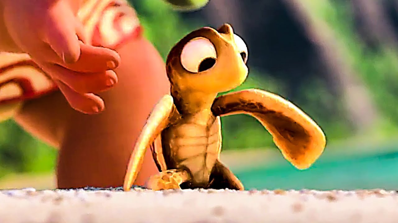 Quand Bébé Tortue rencontre Bébé Vaiana !, image size:1280x720