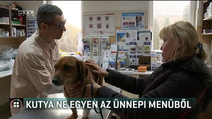 Kutya ne egyen az ünnepi menüből