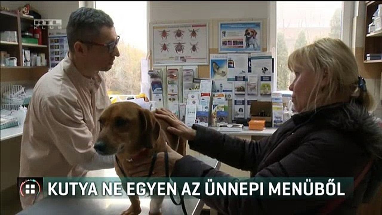 Kutya ne egyen az ünnepi menüből