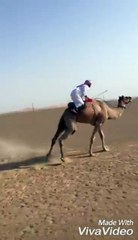 VID-20171219-WA0144