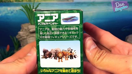 15 SEA ANIMALS SURPRISE TOYS 3D PUZZLES for kids - Great White Shark Whale Manta Ray Beluga Turtle