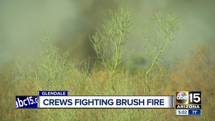 Firefighters letting Glendale brush fire burn itself out