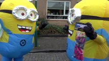 MINIONS STEKEN CAT 1 VUURWERK AF !!!