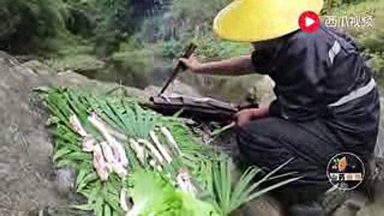videoplayback