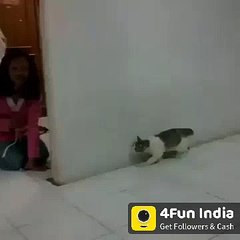 VID-20171222-WA0081