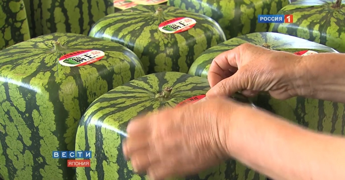 Watermelon Cubes! It's Real!