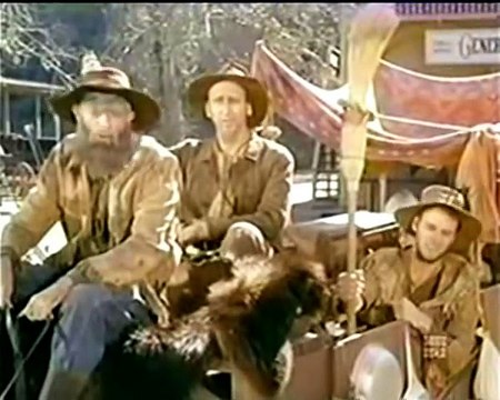 A Bald-Faced Boy (1) - The Virginian.