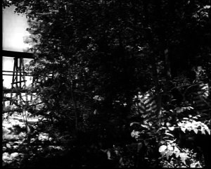 Doc Bell - Tales of Wells Fargo.