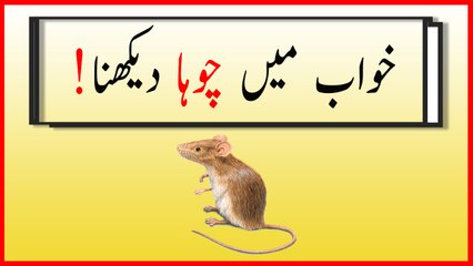 khwabon ki tabeer in urdu - khwab mein choha dekhnay ki Tabeer