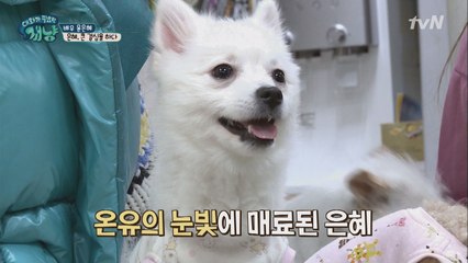 애정 표현도 거침없는 온유와 집으로 가는 길♪
