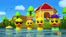 Five Little Ducks Went Swimming One Day Nursery Rhymes Songs For chi