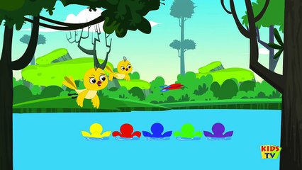 Five Little Ducks Went Swimming One Day Duck