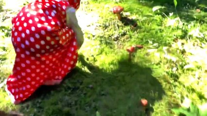 Masha and The Bear funny cartoons for kids Video